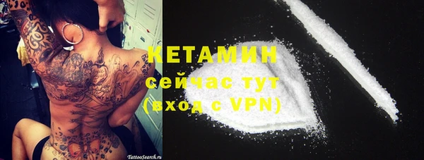 гашик Пестово