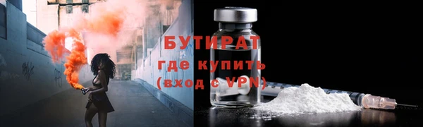 гашик Пестово
