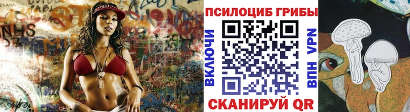 Галлюциногенные грибы Cubensis  где купить   Андреаполь 